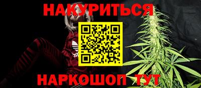 прущие грибы Канаш