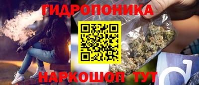 прущие грибы Канаш