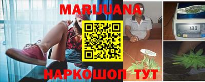 прущие грибы Канаш