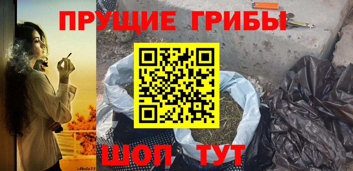 Галлюциногенные грибы прущие грибы Лабытнанги